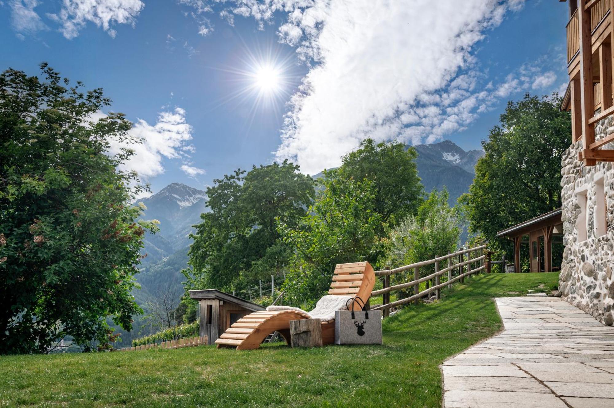 Trinnerhof- Hof Chalets Und Obsthof Mit Zimmer Natz-Schabs Екстериор снимка